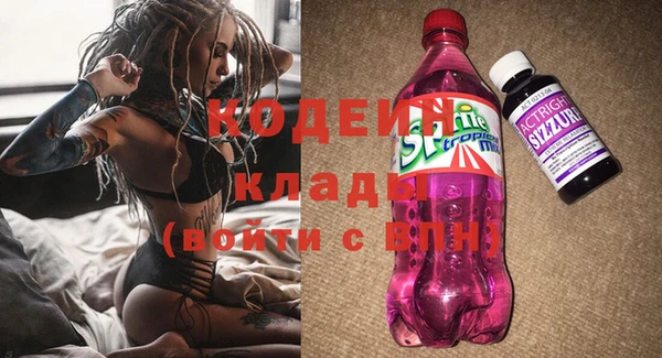 2c-b Горняк