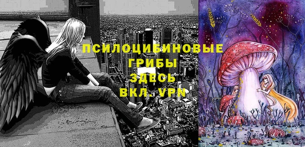 2c-b Горняк