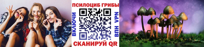 Псилоцибиновые грибы прущие грибы  Купить  Остров 